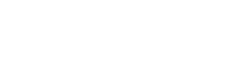 Shopkeeper by Nettl logo